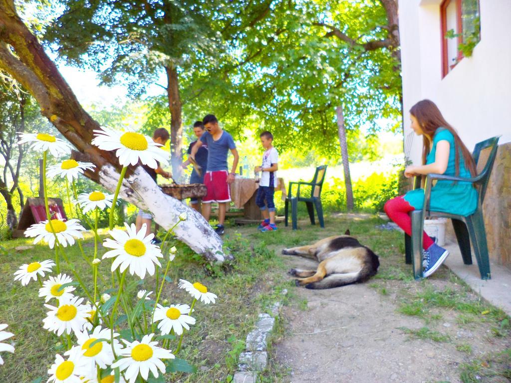 Pensiunea Valea Cernei Teliucu Inferior Екстериор снимка
